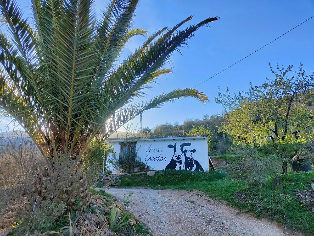 קסטל דה פרו Cortijo Vacas Gordas Villas  קסטל דה פרו