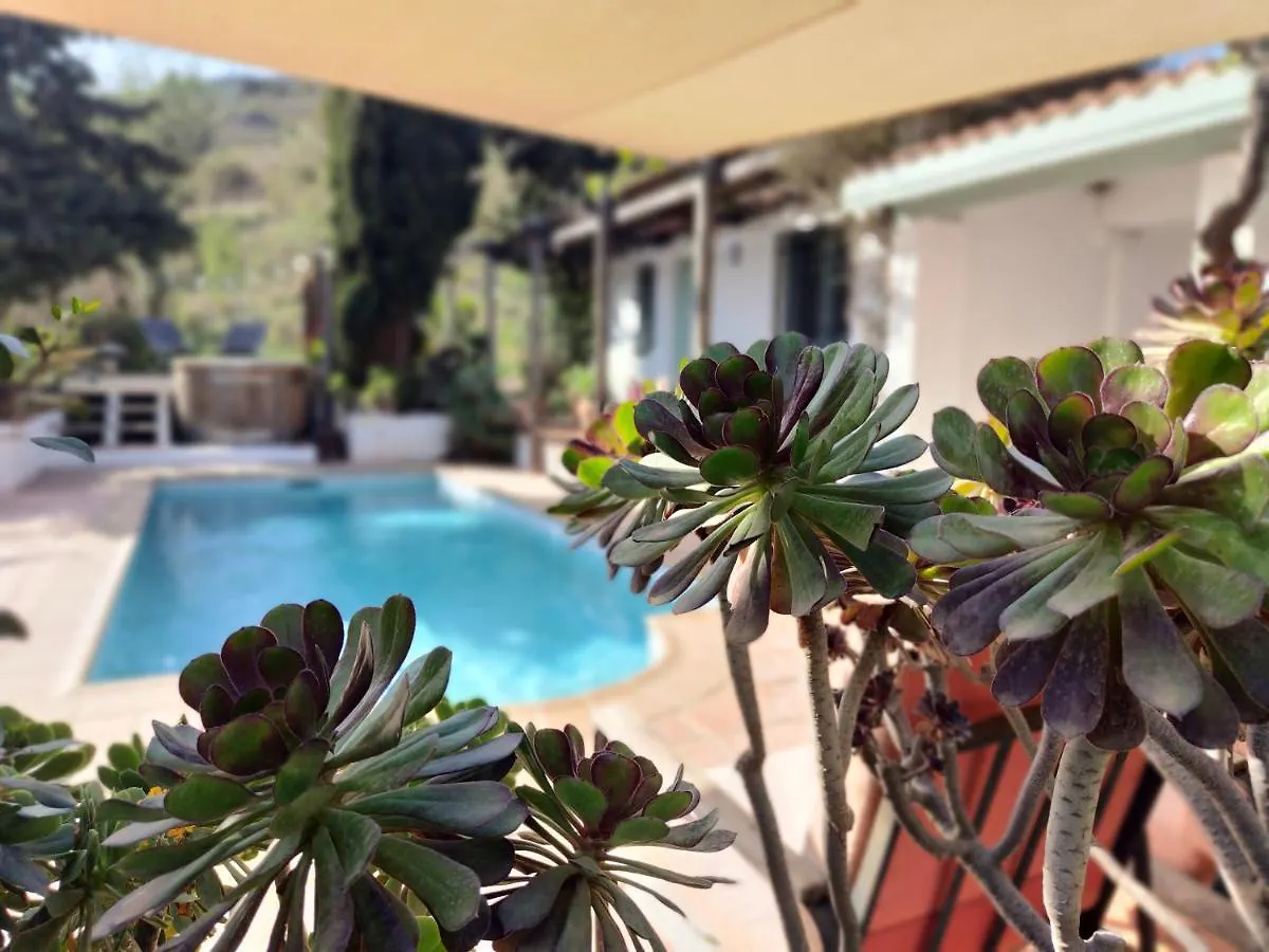 קסטל דה פרו Cortijo Vacas Gordas Villas ספרד