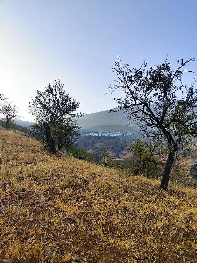 קסטל דה פרו Cortijo Vacas Gordas Villas