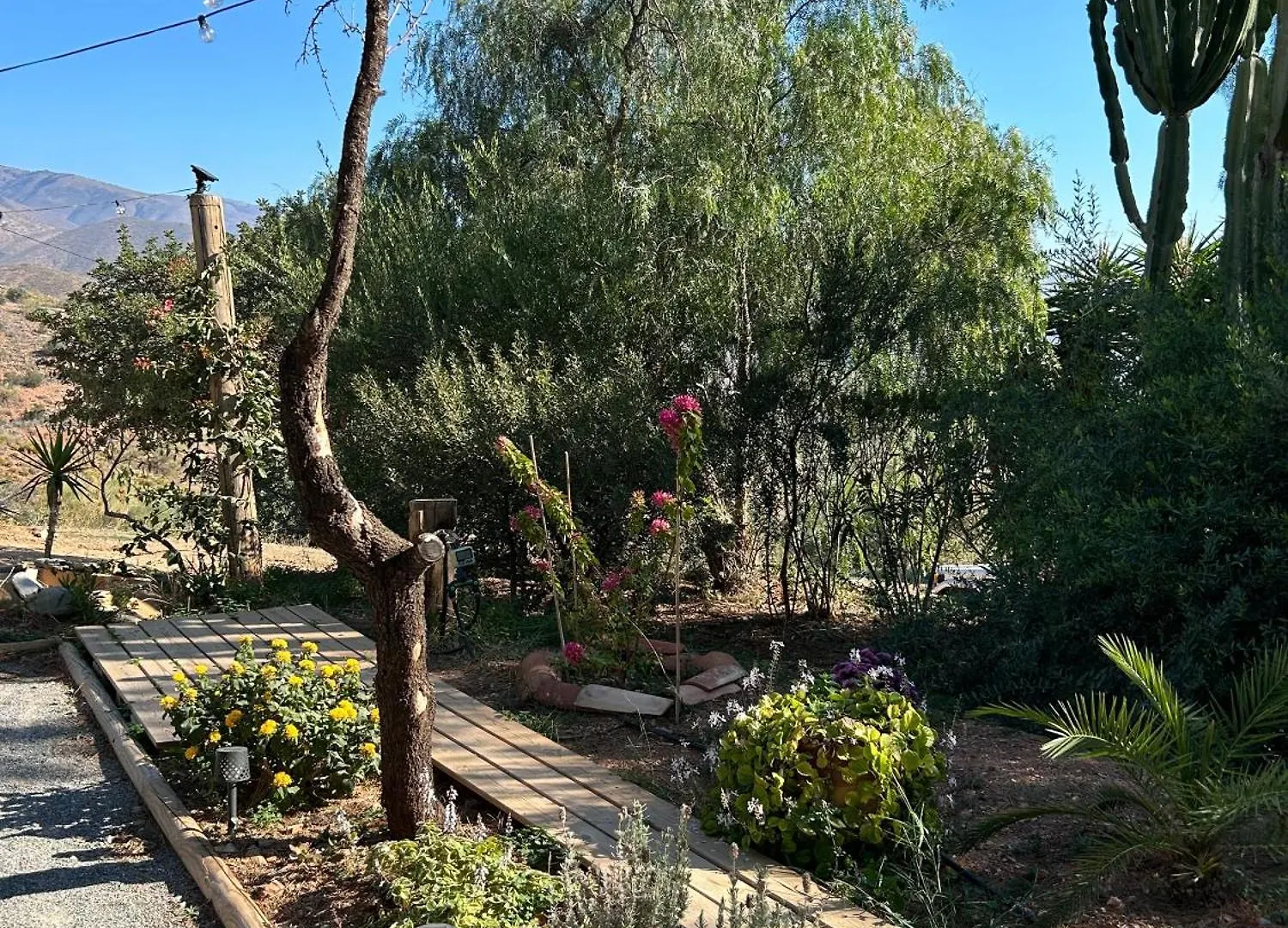 קסטל דה פרו Cortijo Vacas Gordas Villas ספרד
